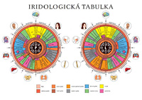 Iridologická tabulka